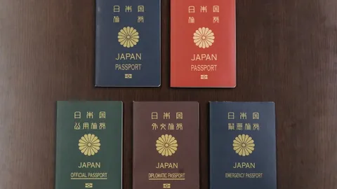 “本菲卡1-0击败布拉加晋级葡萄牙杯四强，帕夫利季斯一箭定乾坤！”