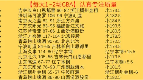 国米锁定多特20岁意籍中卫菲利波-马内加盟